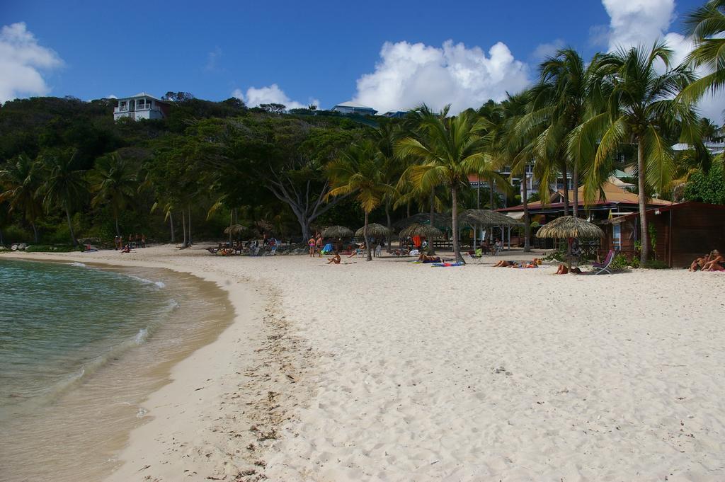 Lelagon Vue Mer, Pieds Dans L'Eau Saint-Francois  Exterior foto