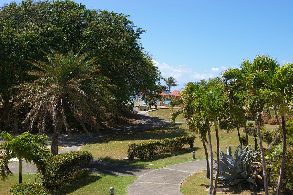 Lelagon Vue Mer, Pieds Dans L'Eau Saint-Francois  Exterior foto